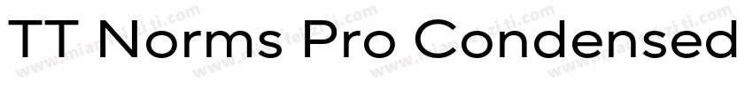 TT Norms Pro Condensed Normal字体转换